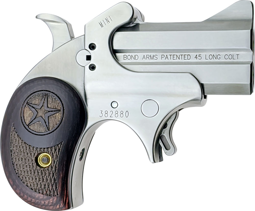 Bond Arms BAM Mini Original Derringer Single 45 Colt (LC) 2.5" 2 Round Stainless
