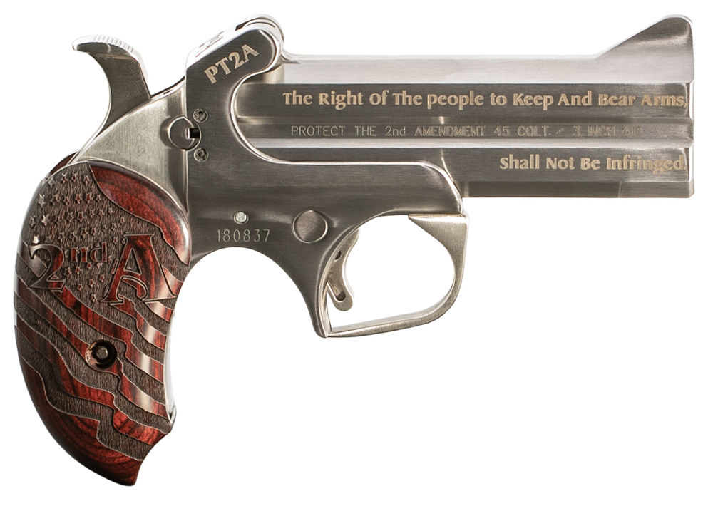 Bond Arms PT2A Protect the 2nd Amendment Derringer Single 45 Colt (LC)/410 Gauge 4.25" 2 Round Stainless Steel