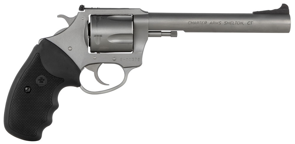 Charter Arms 74460 Bulldog Target 44 S&W Spl Caliber with 6" Barrel, 5rd Capacity Cylinder, Overall Matte Stainless Steel Finish, Finger Grooved Black Rubber Grip & Adjustable Sights